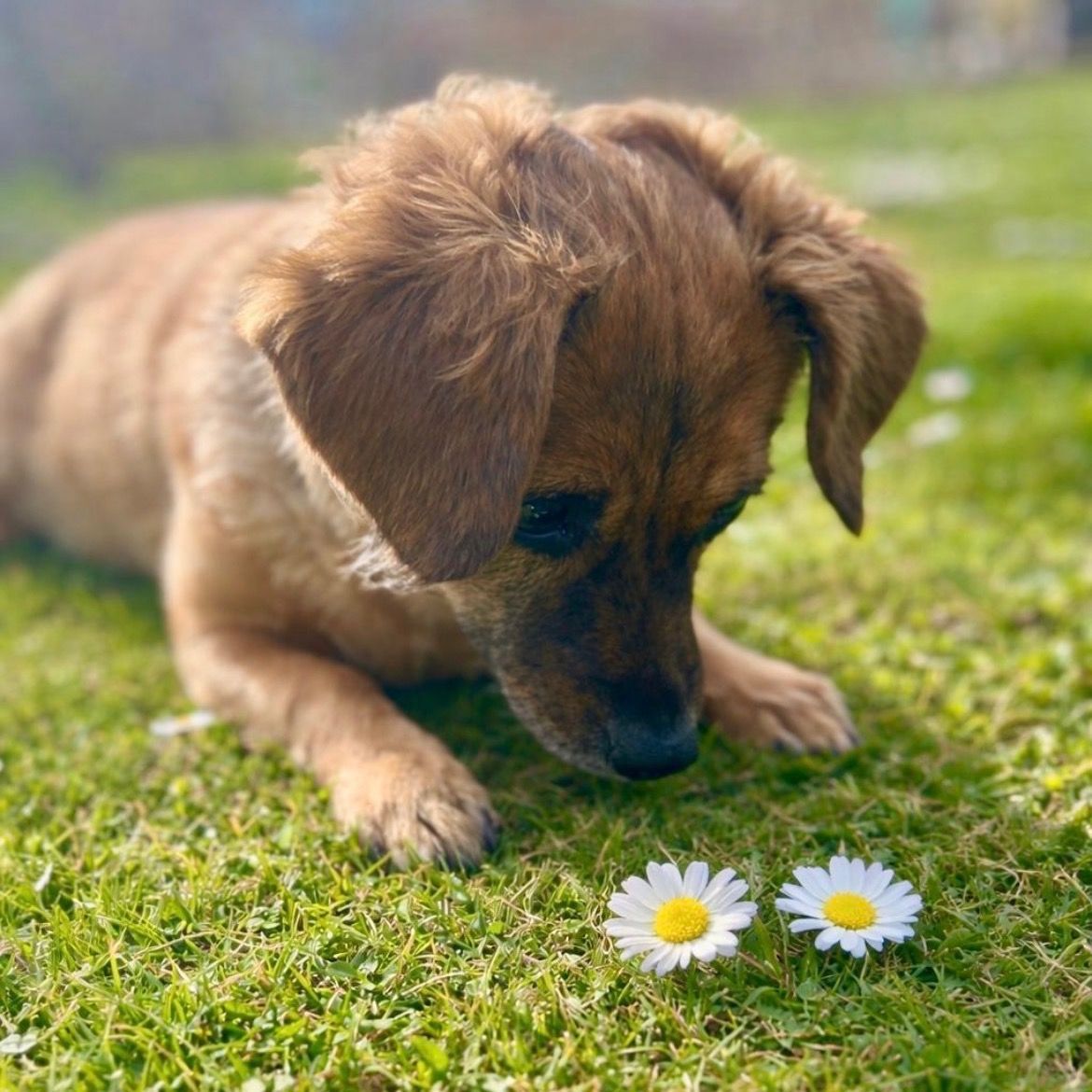 Soutěžní fotografie - Sisi,  Ostatní