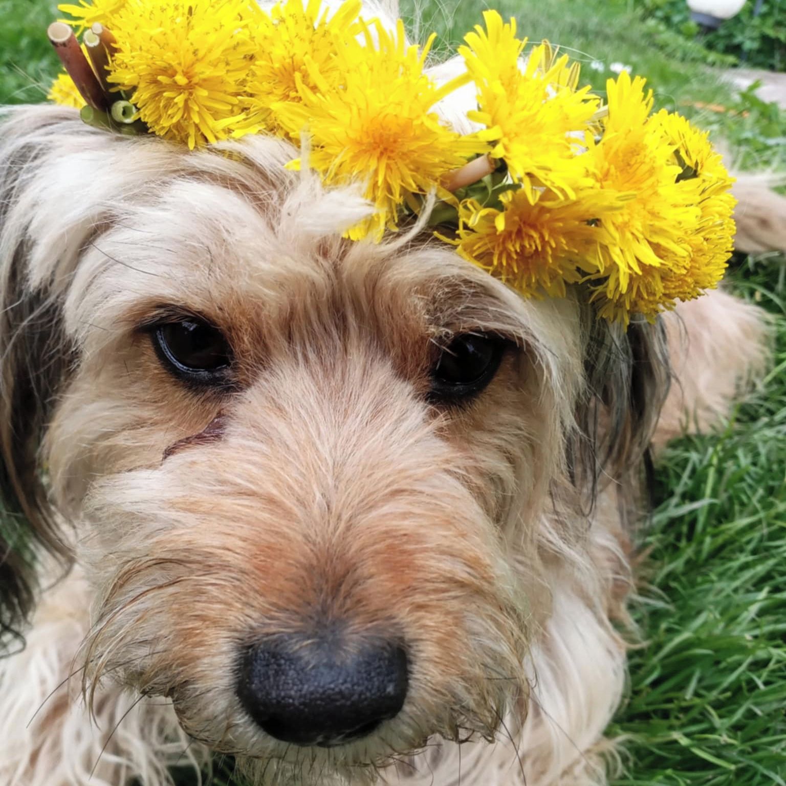 Soutěžní fotografie - Puňťa,  Ostatní