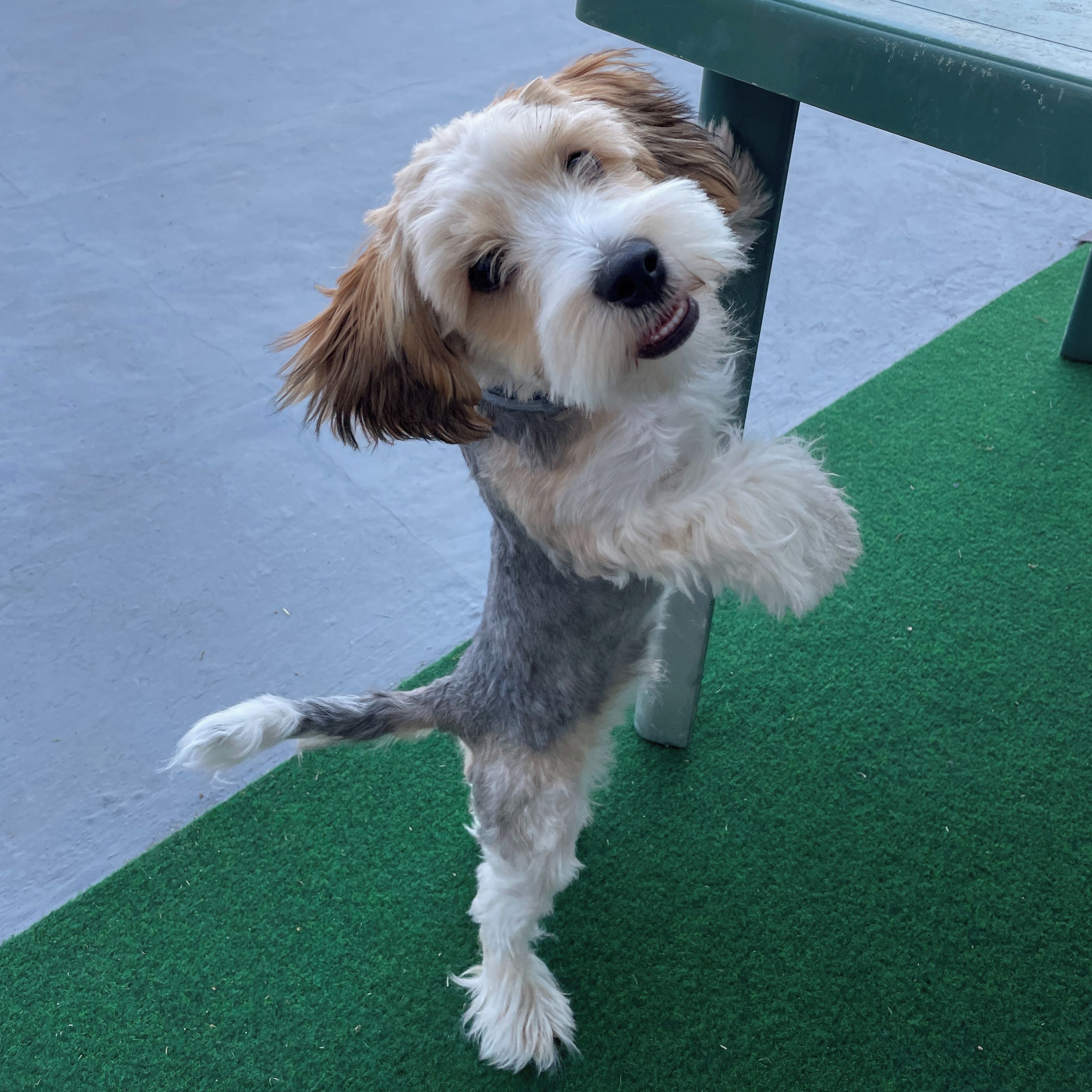 Soutěžní fotografie - Kex,  Ostatní