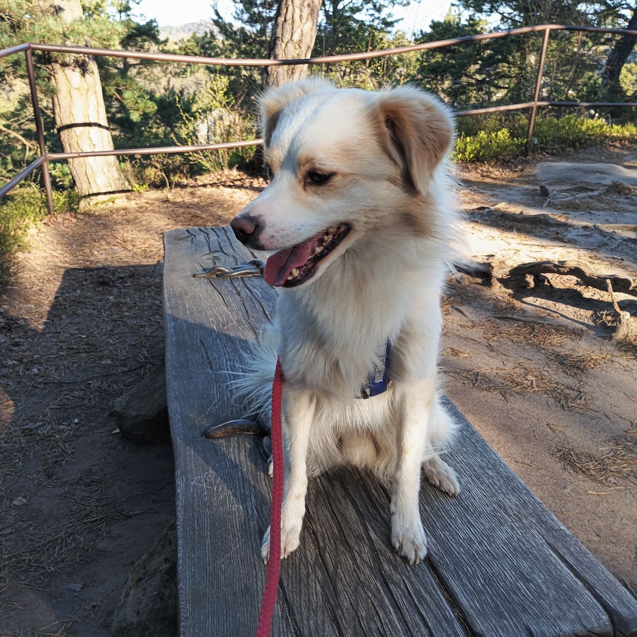 Soutěžní fotografie - Lucas,  Ostatní