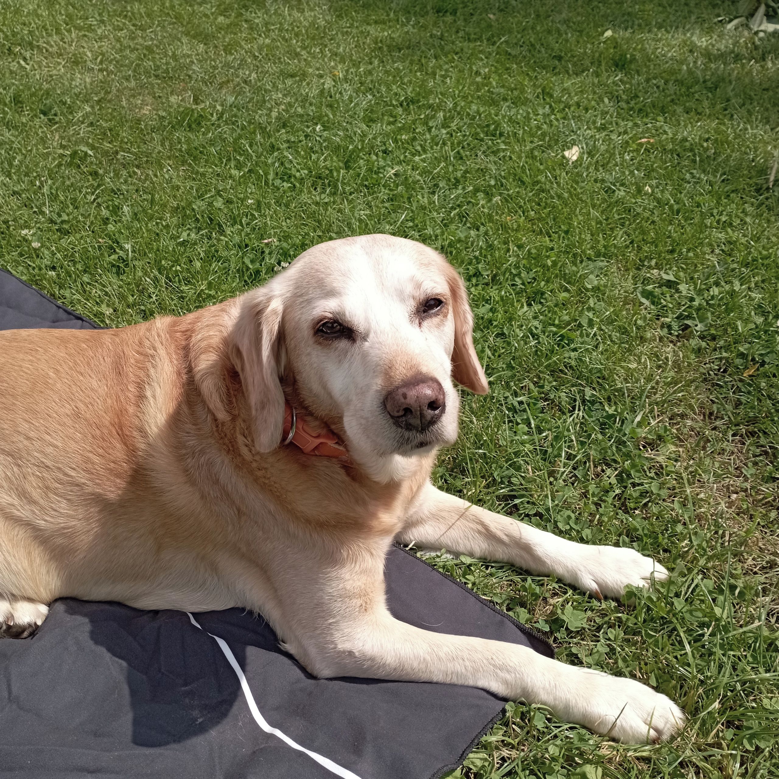 Soutěžní fotografie - Darek,  Ostatní