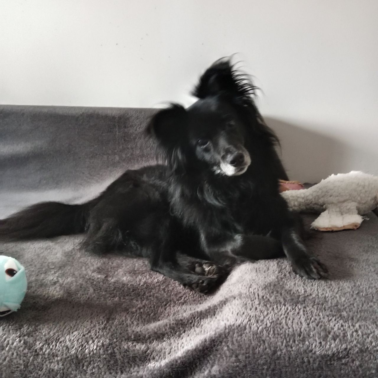 Soutěžní fotografie - Bertíček,  Ostatní