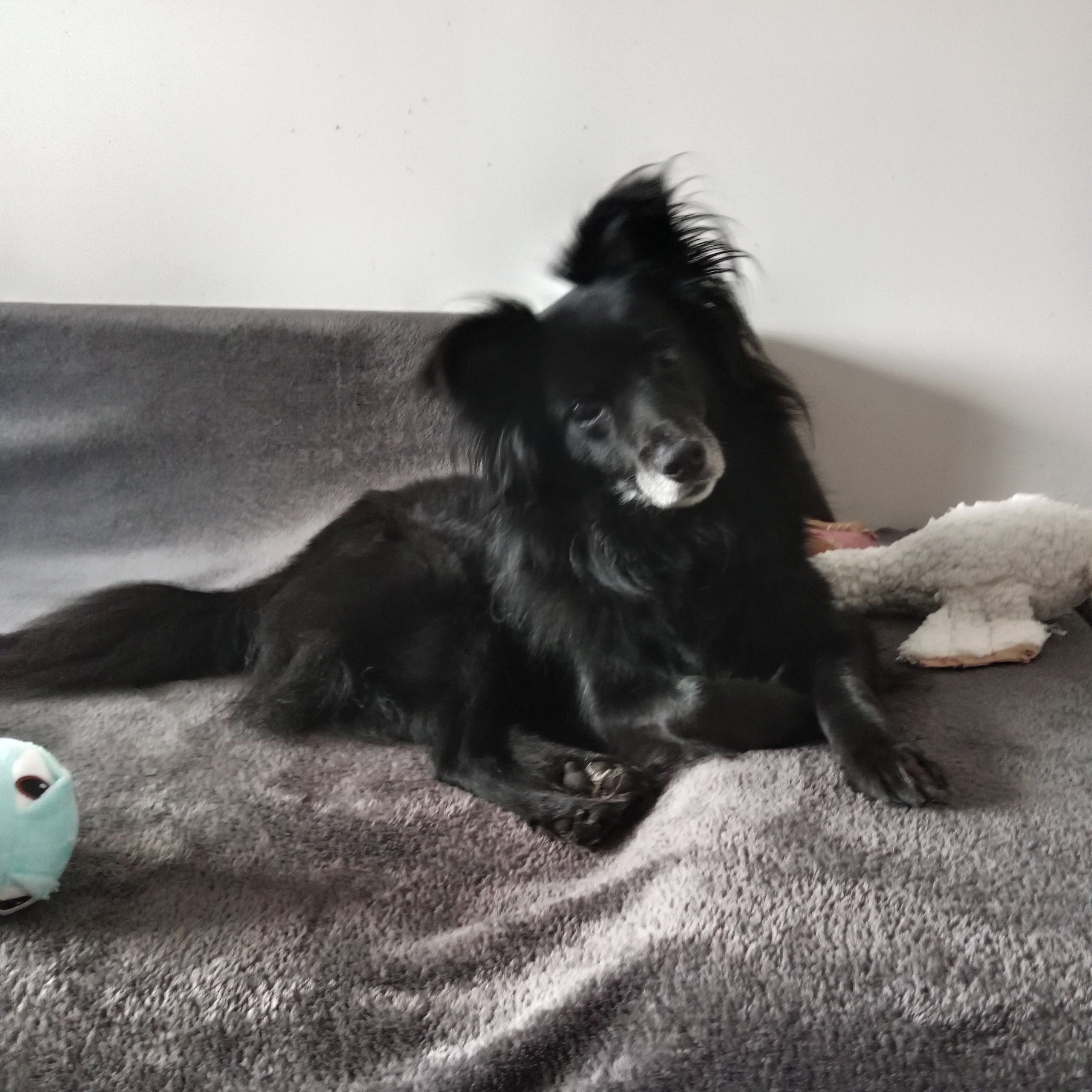 Soutěžní fotografie - Bertíček,  Ostatní