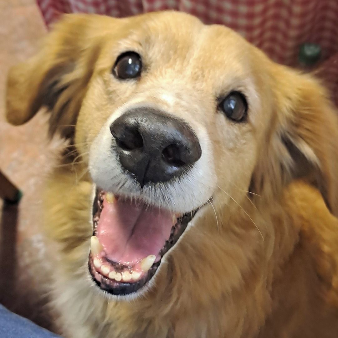 Soutěžní fotografie - Sam,  Ostatní