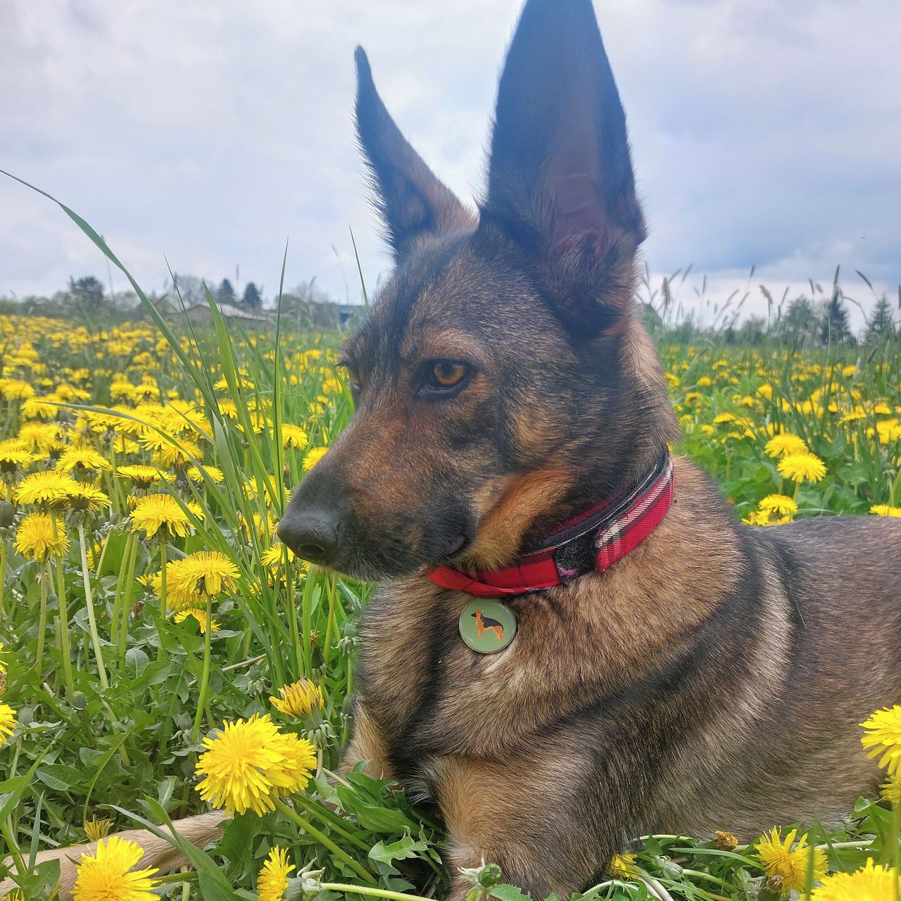 Soutěžní fotografie - Fanny,  Ostatní