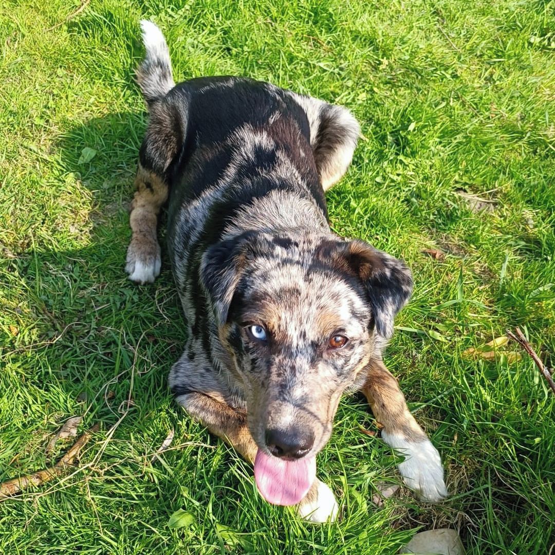 Soutěžní fotografie - Kiky,  Ostatní