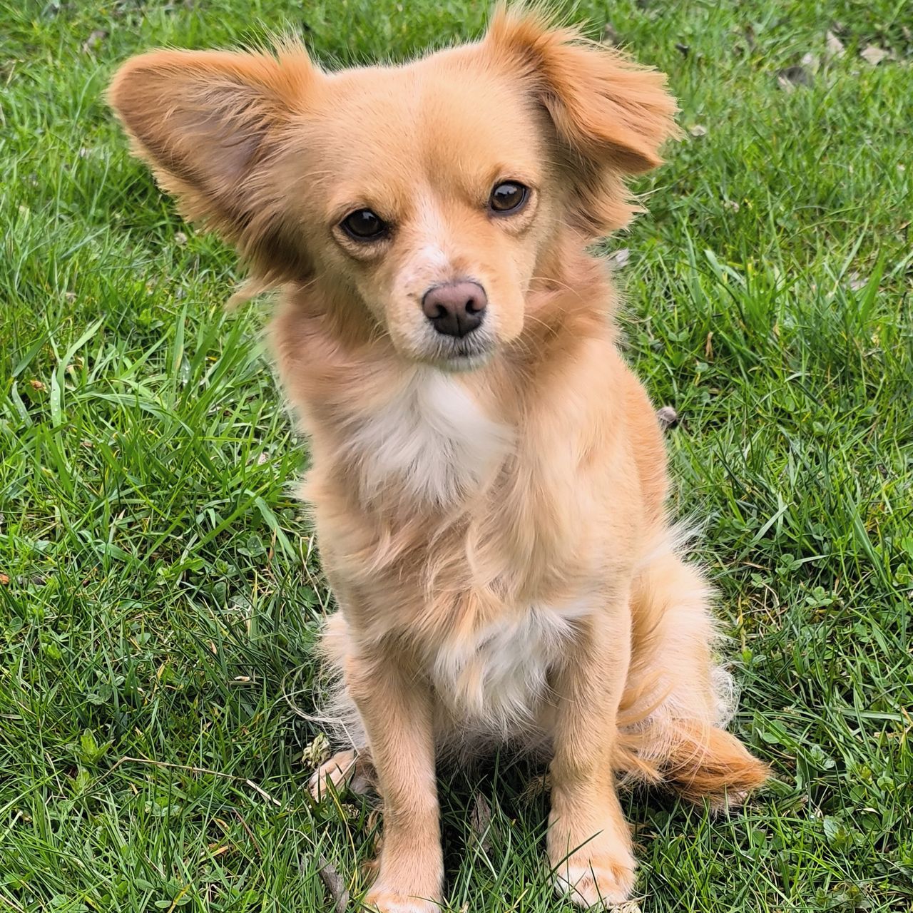 Soutěžní fotografie - Sára,  Ostatní