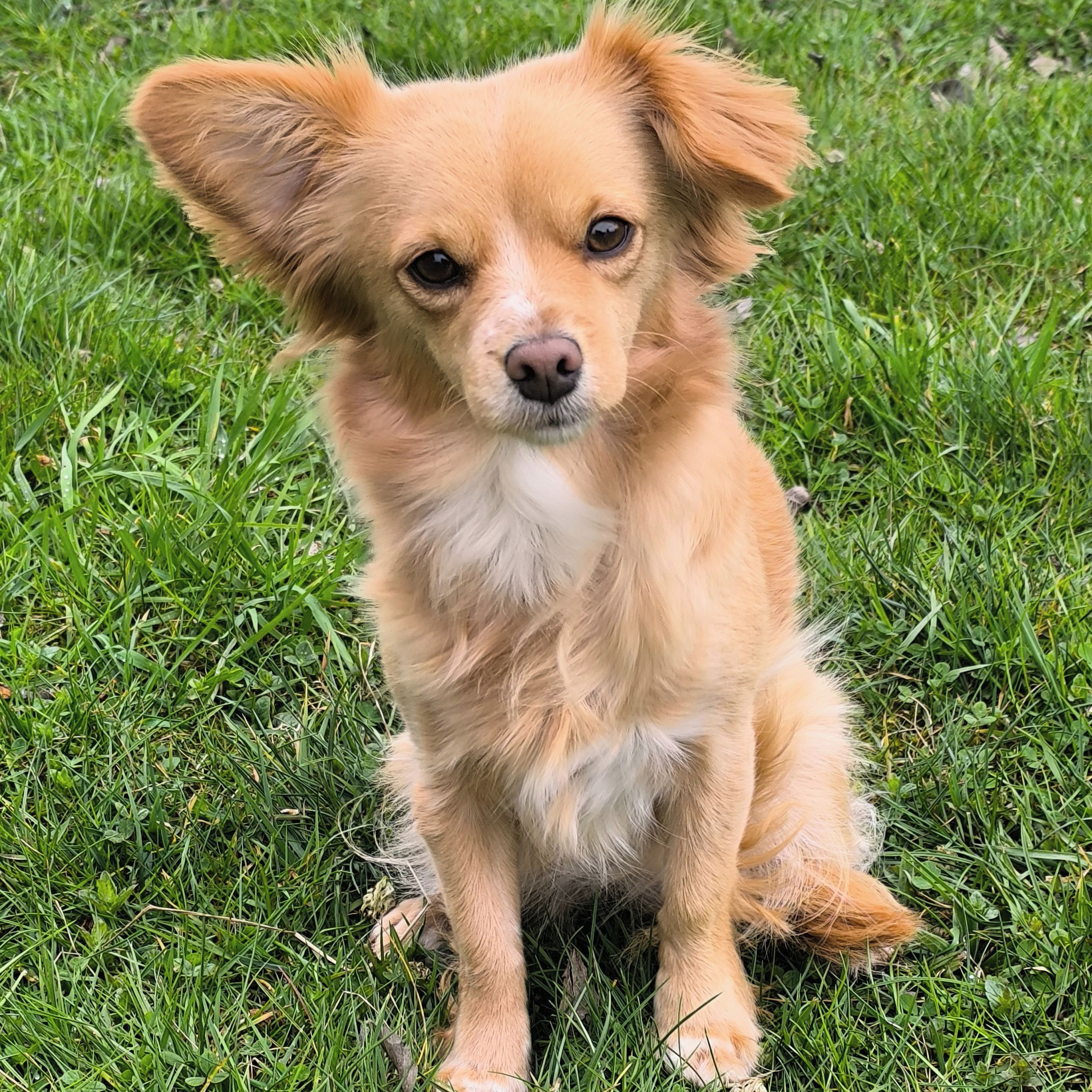 Soutěžní fotografie - Sára,  Ostatní