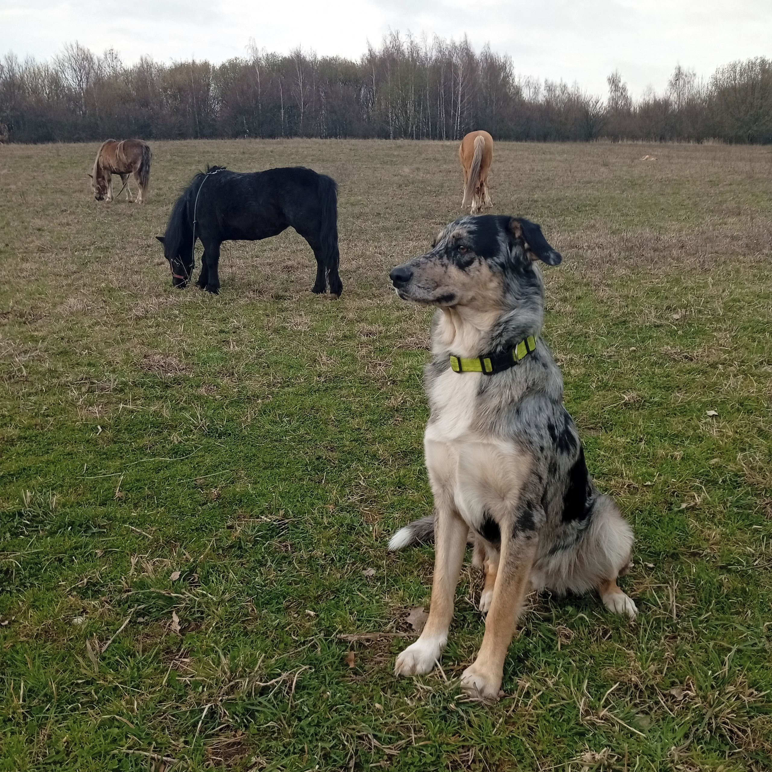 Soutěžní fotografie - Johnyk,  Ostatní