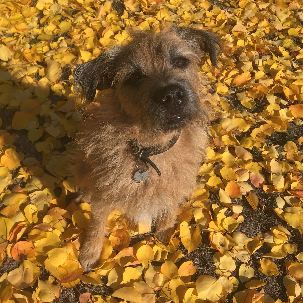 Soutěžní fotografie - Bárny,  Ostatní