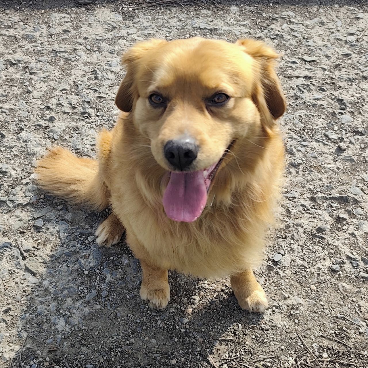 Soutěžní fotografie - EDY,  Ostatní