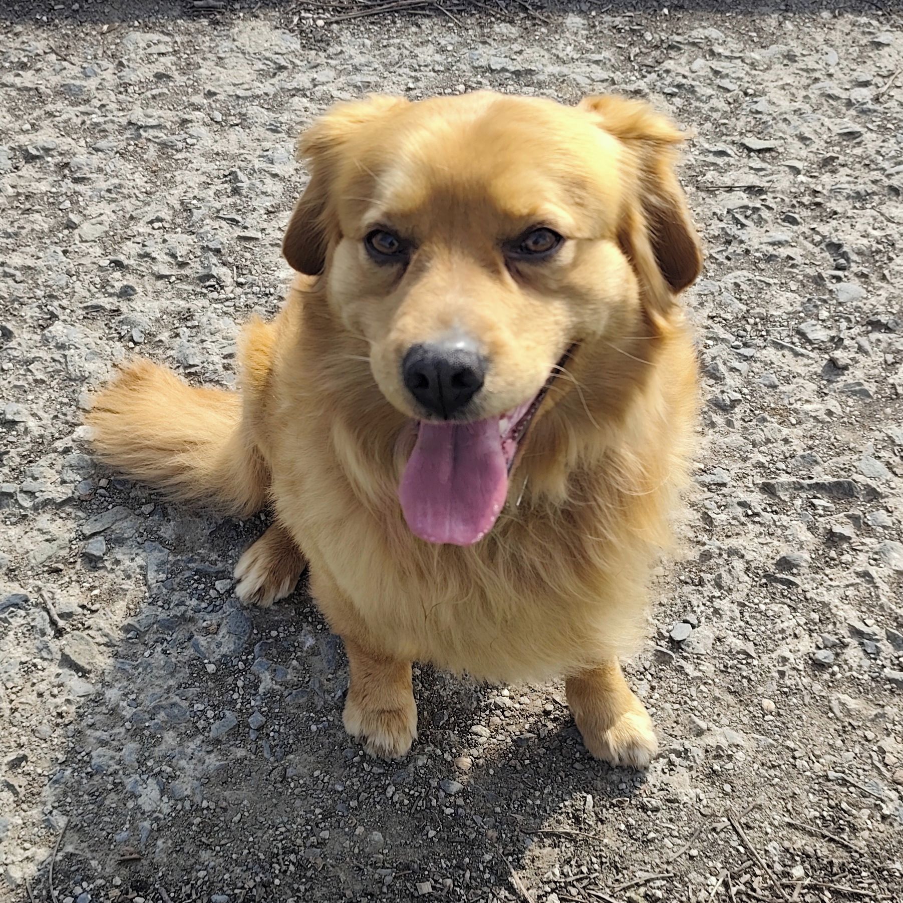 Soutěžní fotografie - EDY,  Ostatní