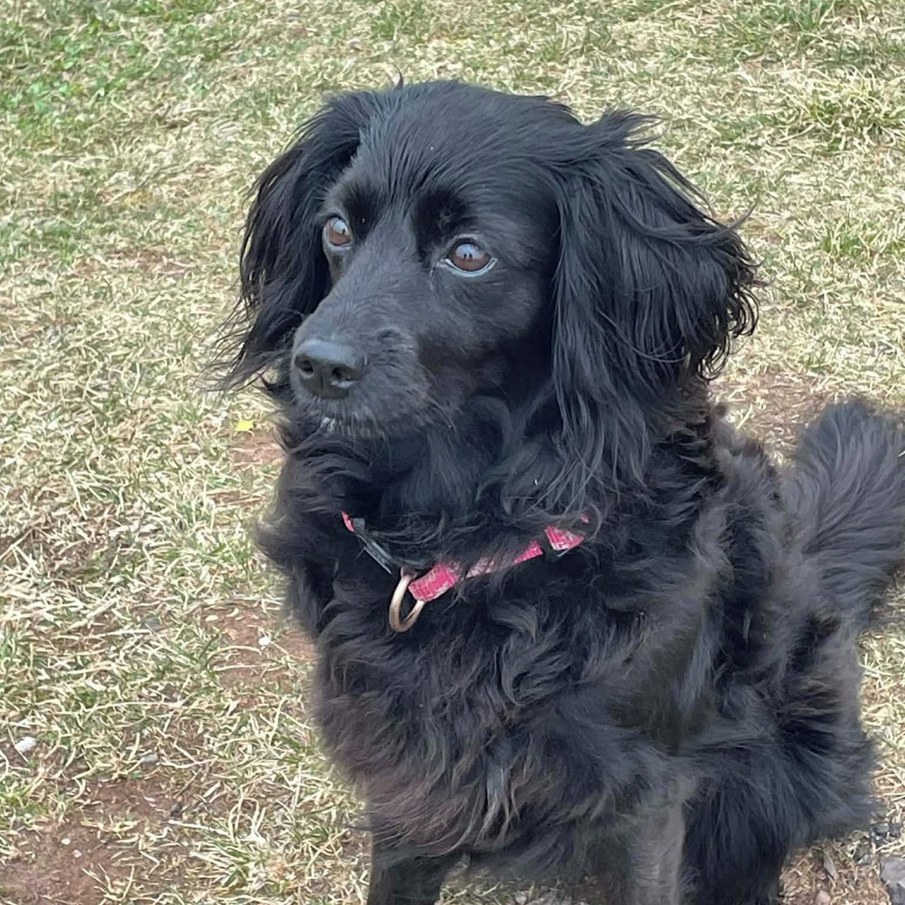 Soutěžní fotografie - Amálka,  Ostatní