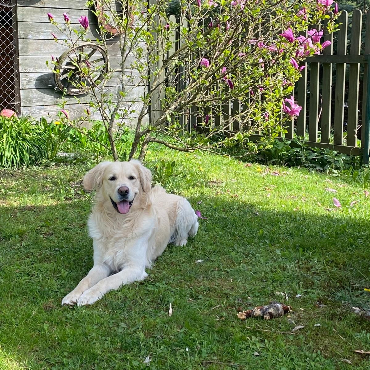 Soutěžní fotografie - Monthy,  Ostatní