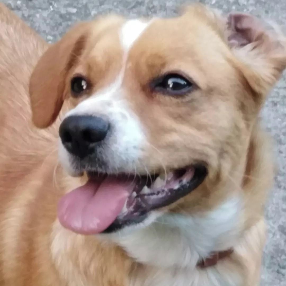 Soutěžní fotografie - Chelsea,  Ostatní