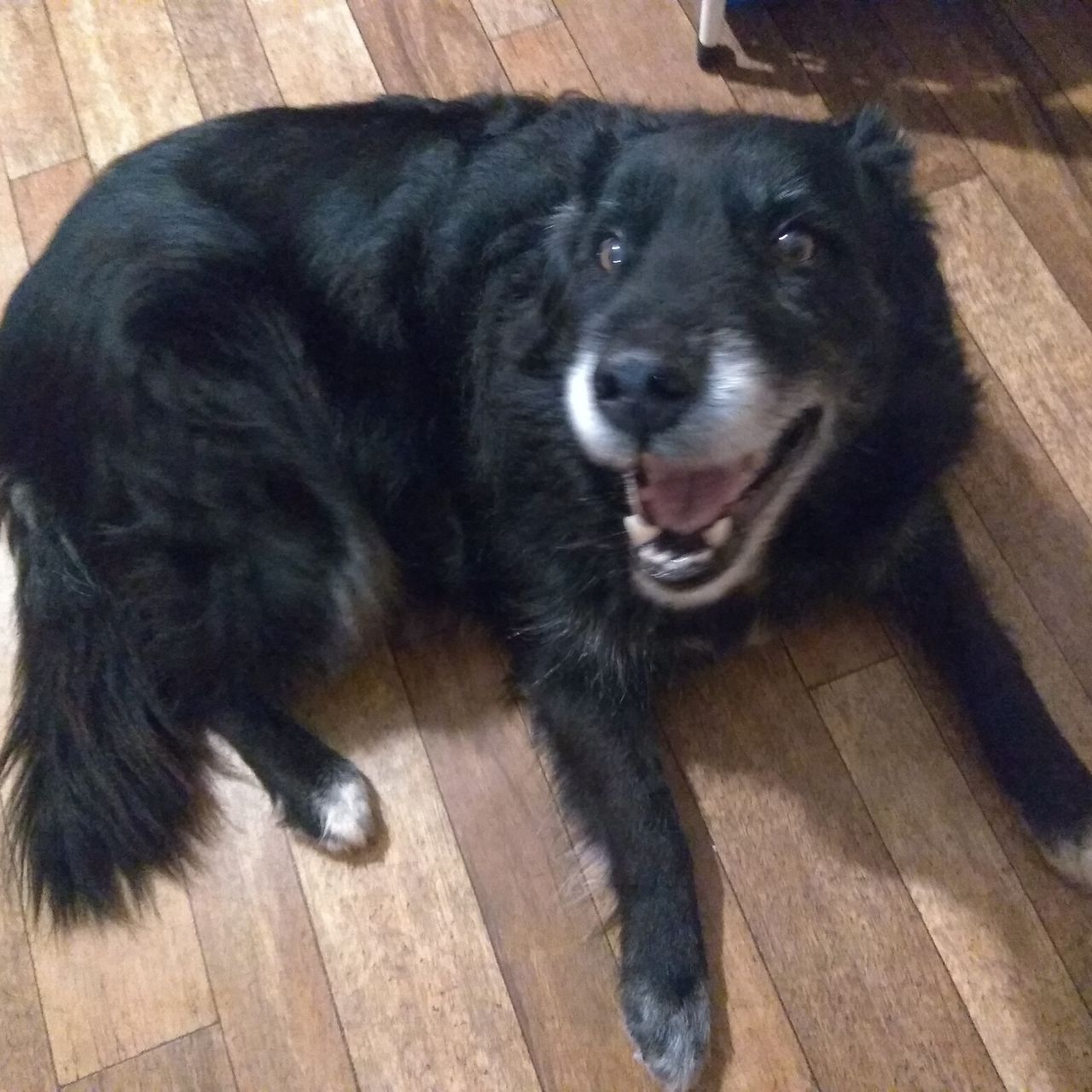 Soutěžní fotografie - Aran,  Ostatní