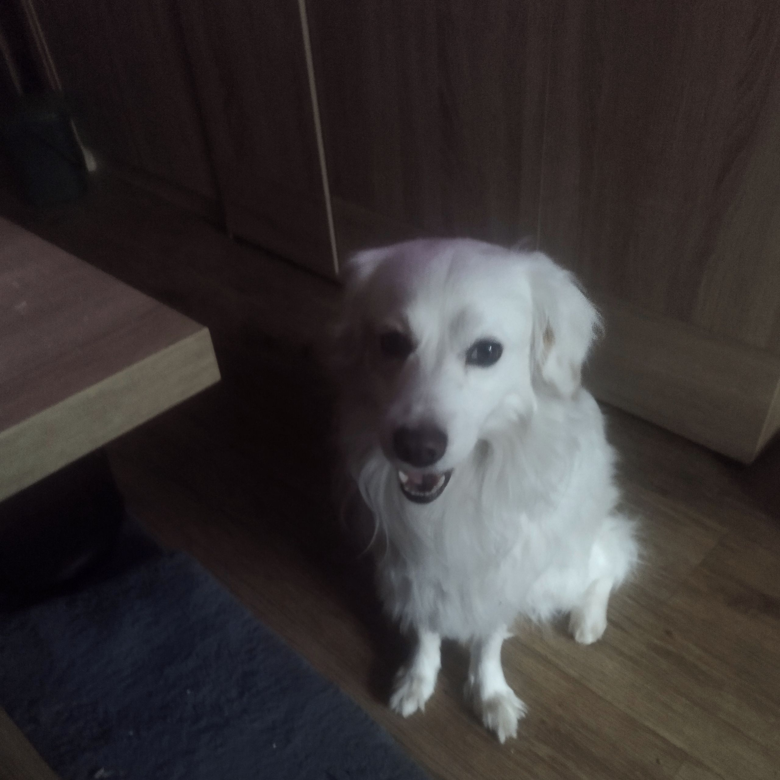 Soutěžní fotografie - Baddy,  Ostatní