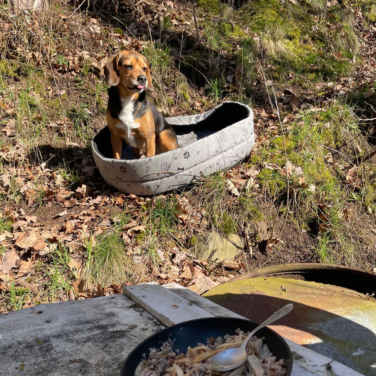 Soutěžní fotografie - Ronny,  Ostatní