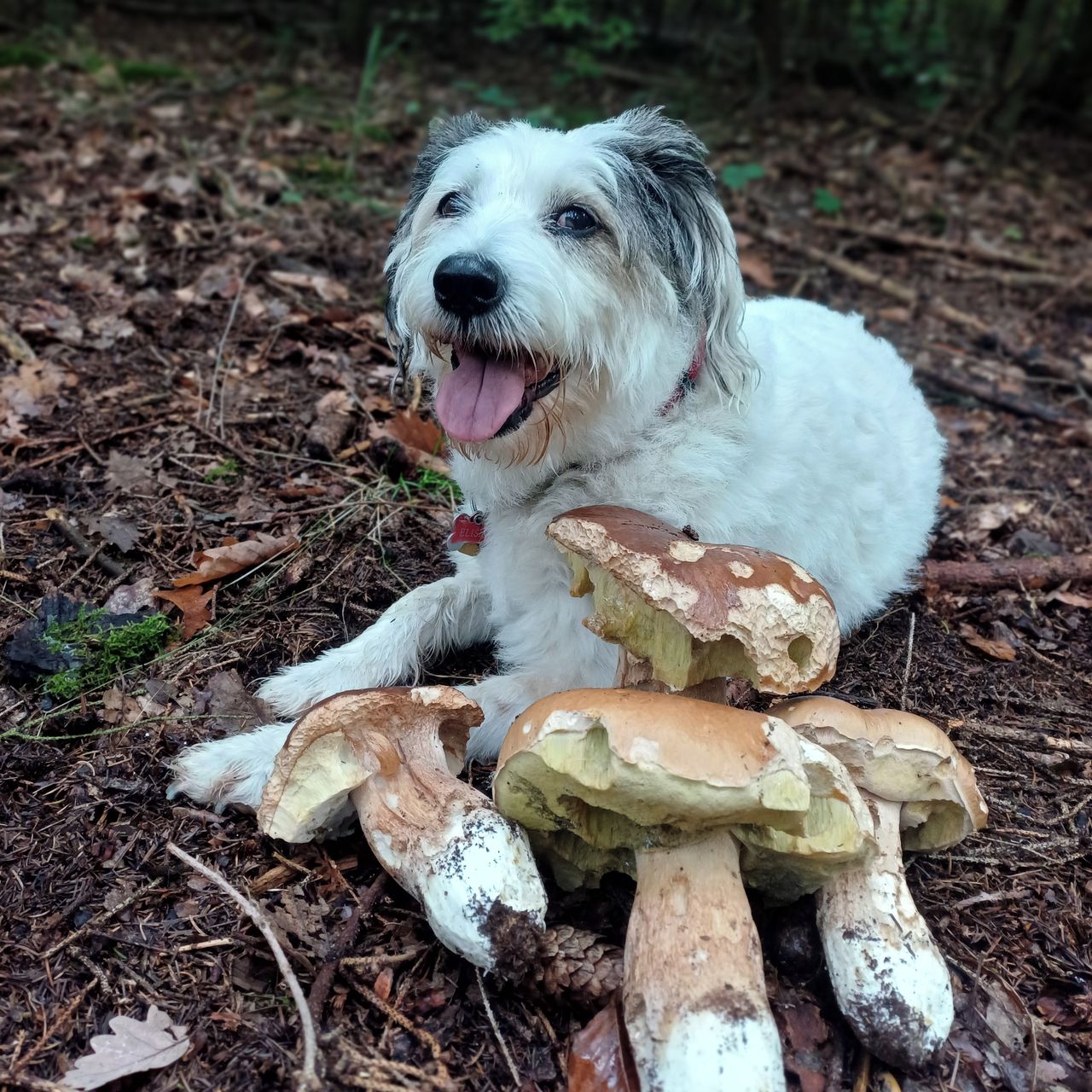 Soutěžní fotografie - Eliška,  Ostatní