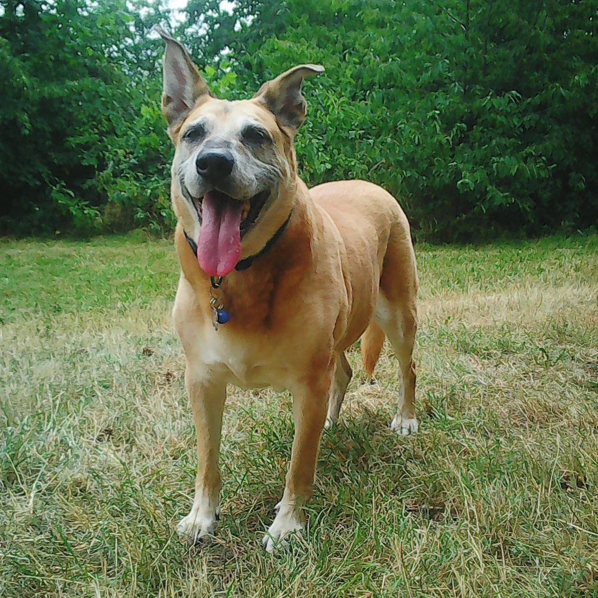 Soutěžní fotografie - DENY,  Ostatní