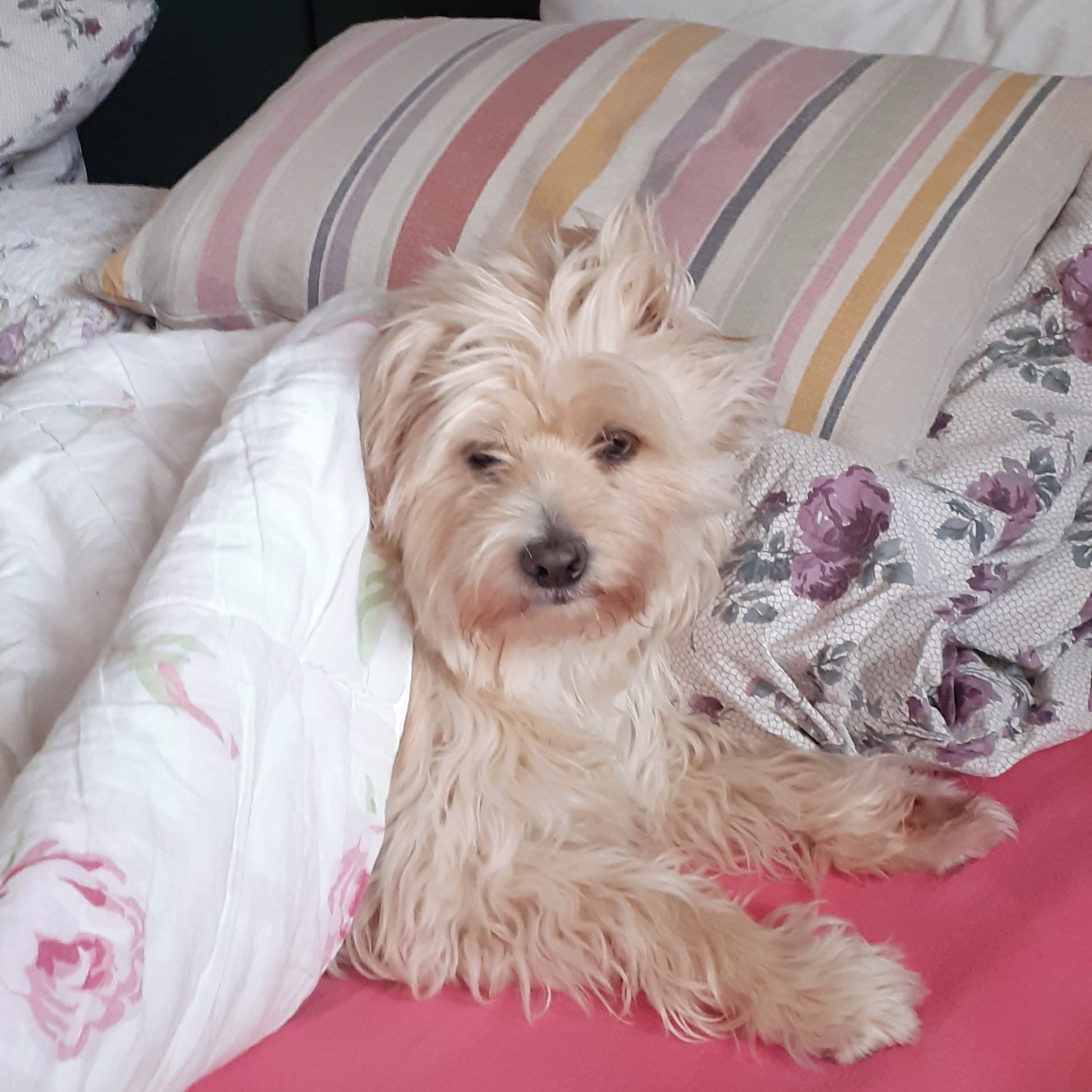 Soutěžní fotografie - Terinka,  Ostatní