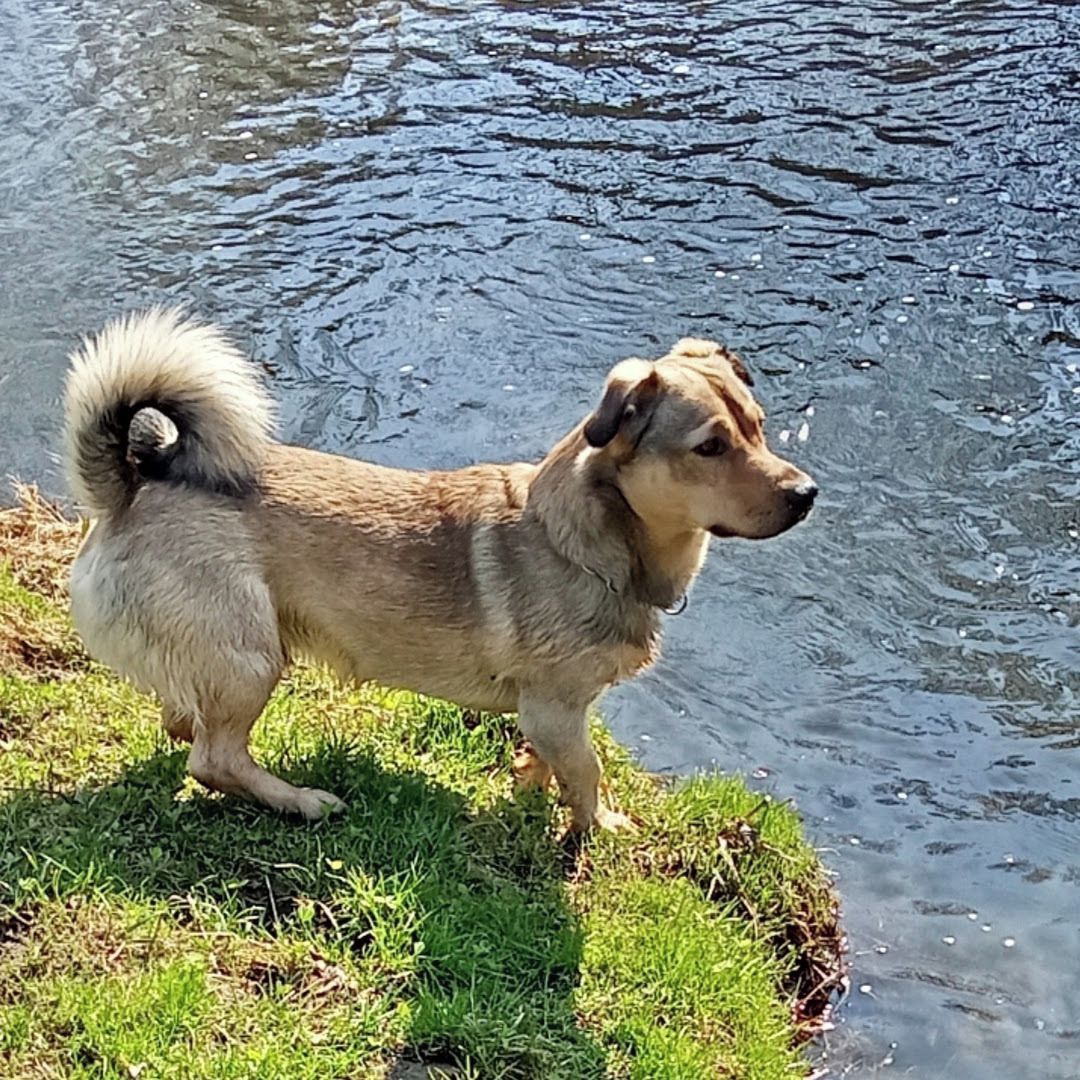 Soutěžní fotografie - MORISEK,  Ostatní