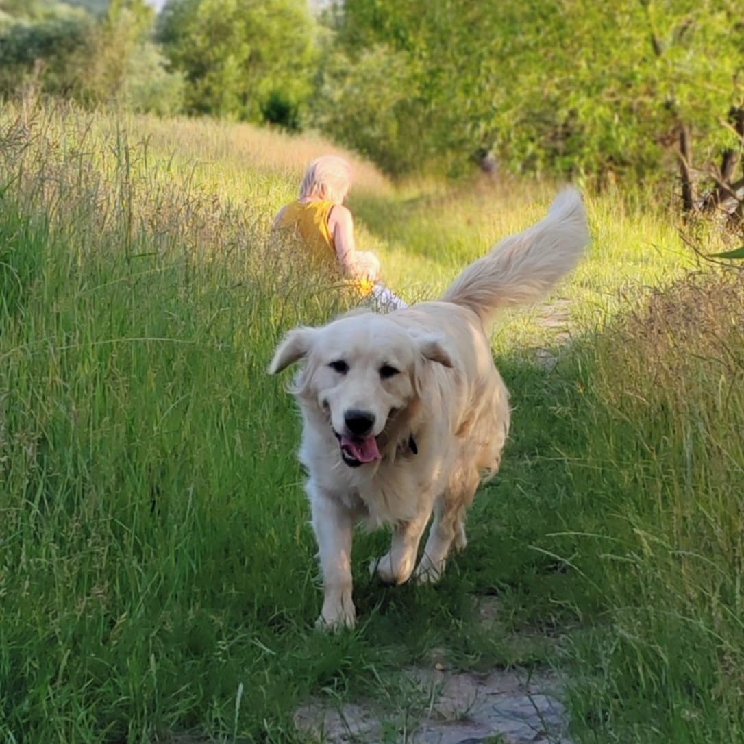 Soutěžní fotografie - Dusty,  Ostatní