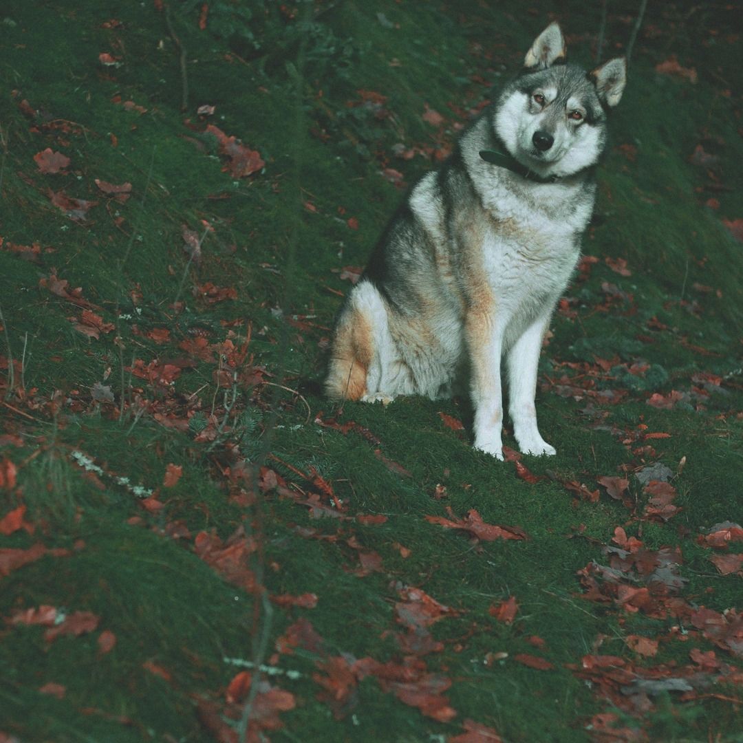 Soutěžní fotografie - Lia,  Ostatní