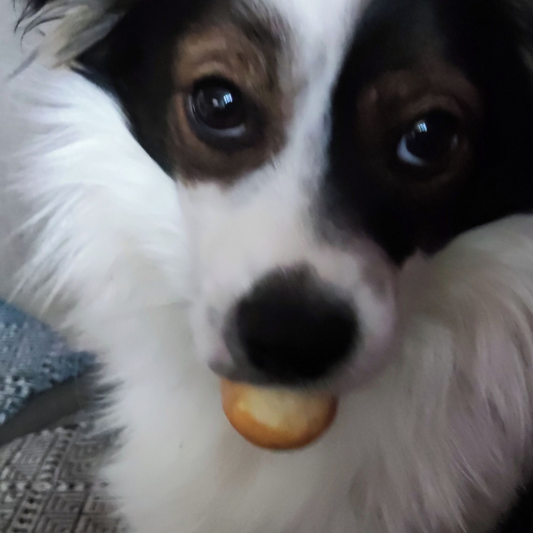 Soutěžní fotografie - Erik,  Ostatní