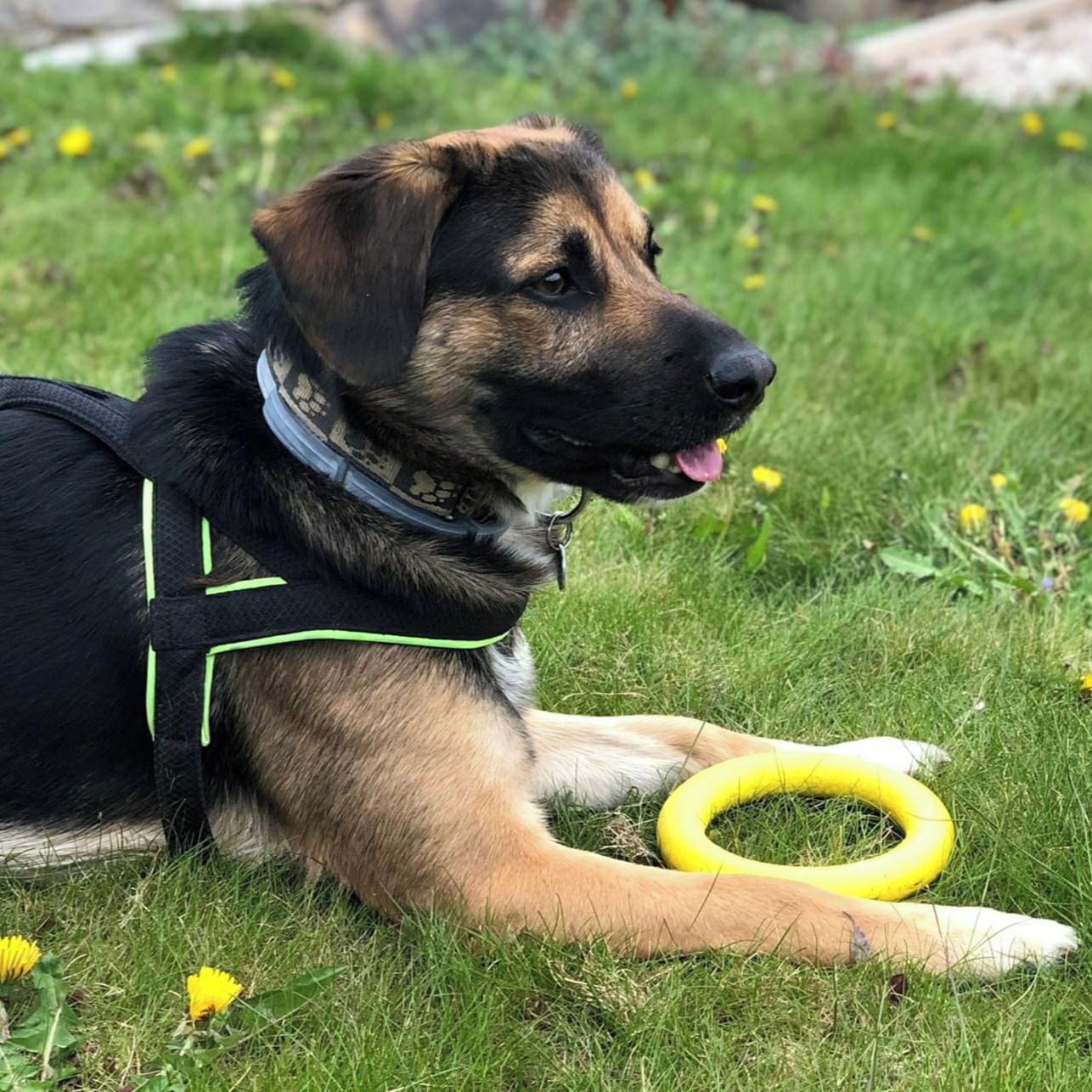 Soutěžní fotografie - Čeněk,  Ostatní