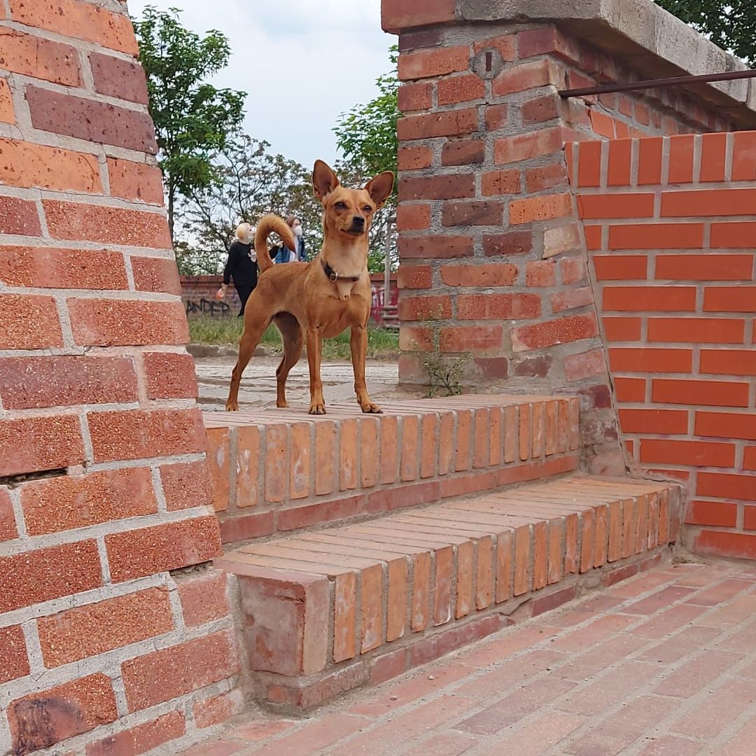 Soutěžní fotografie - Bára,  Ostatní