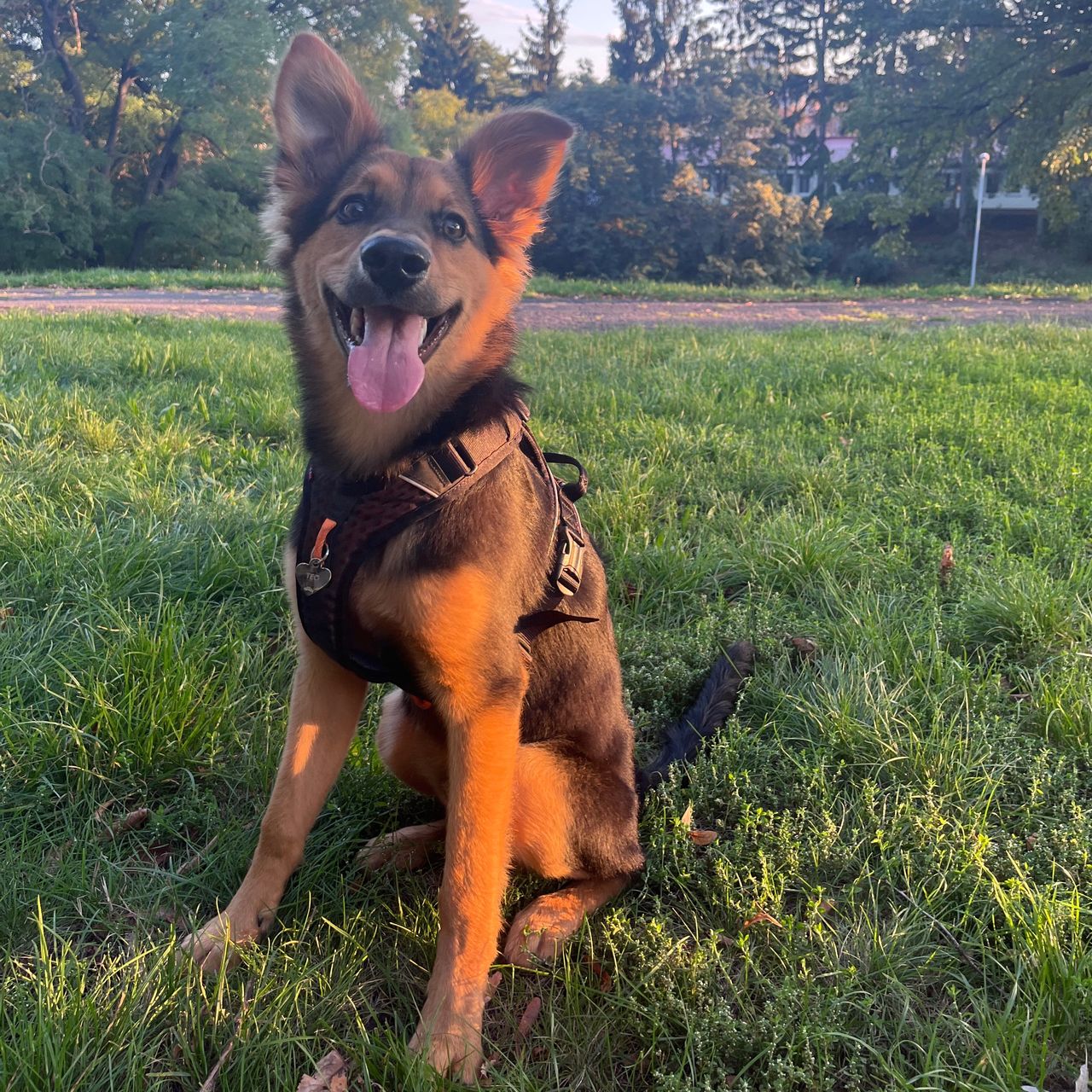 Soutěžní fotografie - Teodor,  Ostatní