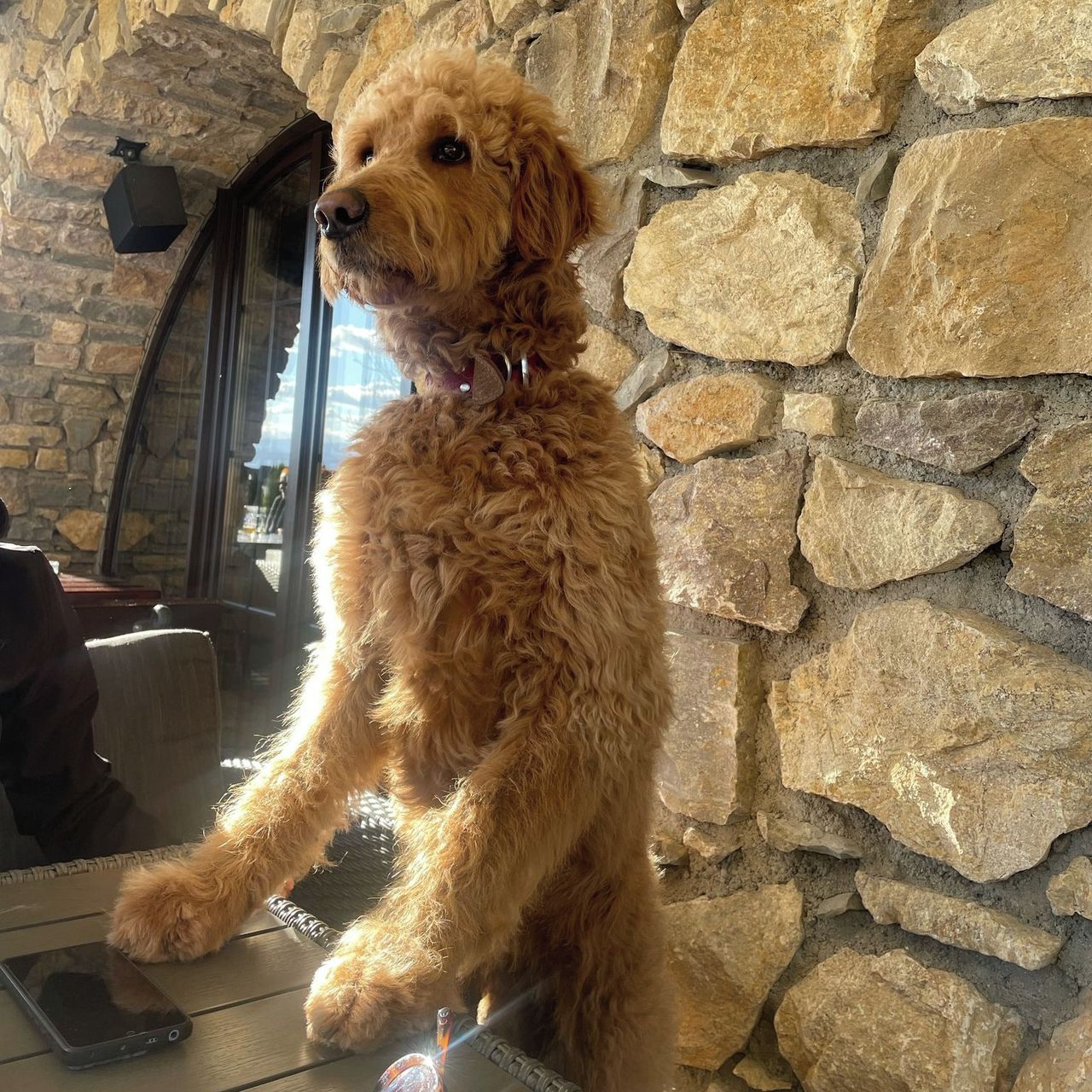 Soutěžní fotografie - Tobby,  Ostatní