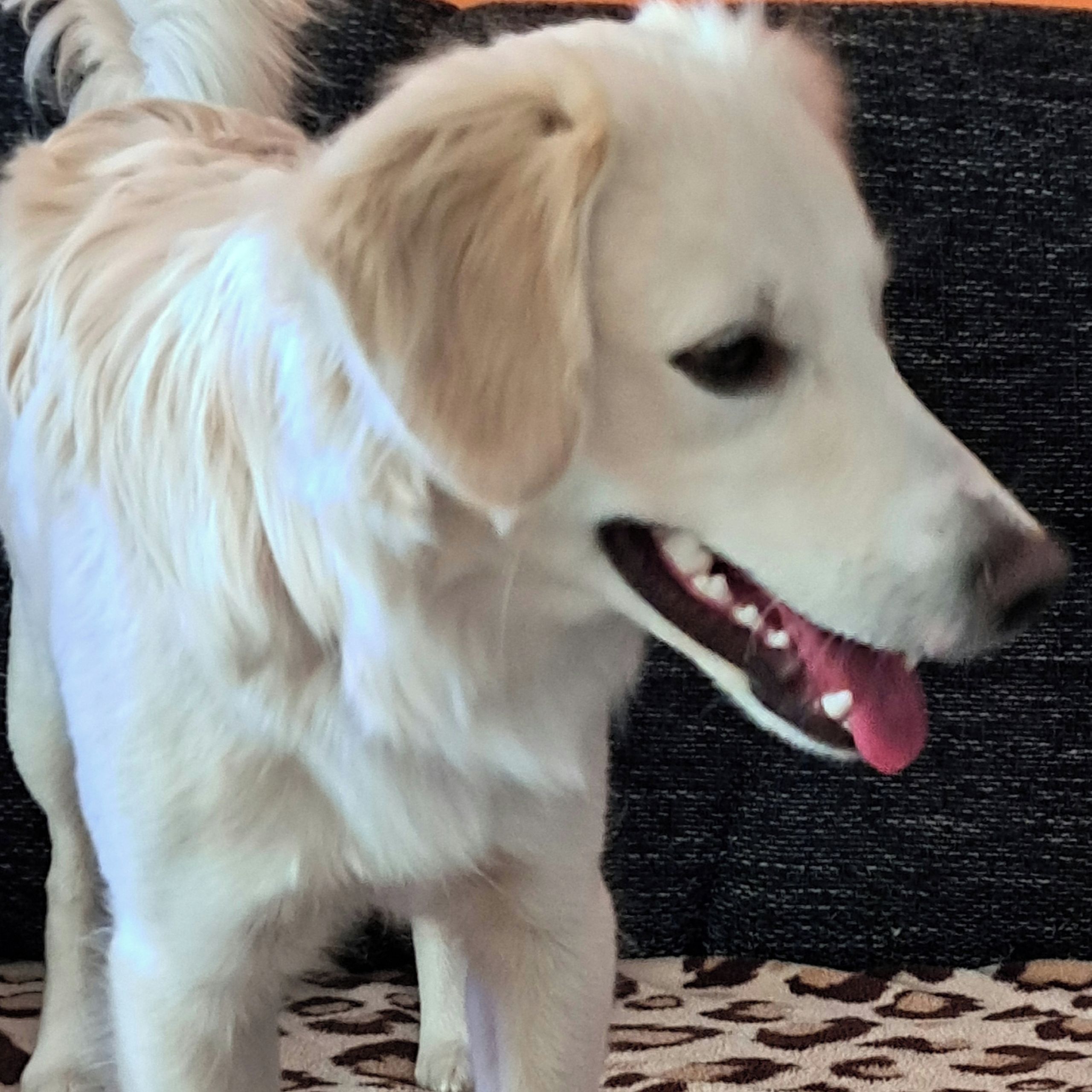 Soutěžní fotografie - Barny,  Ostatní