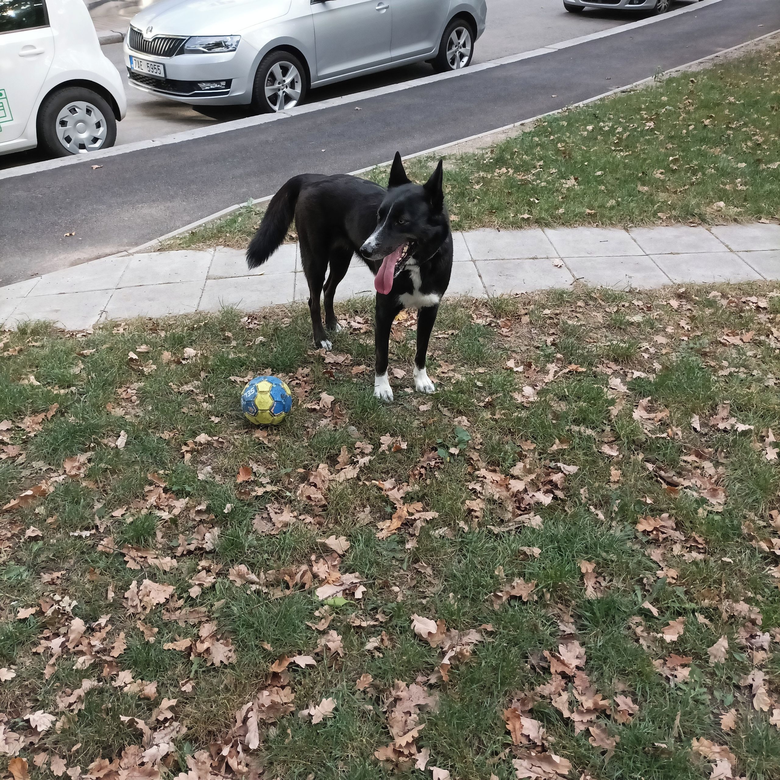Soutěžní fotografie - NYX,  Ostatní