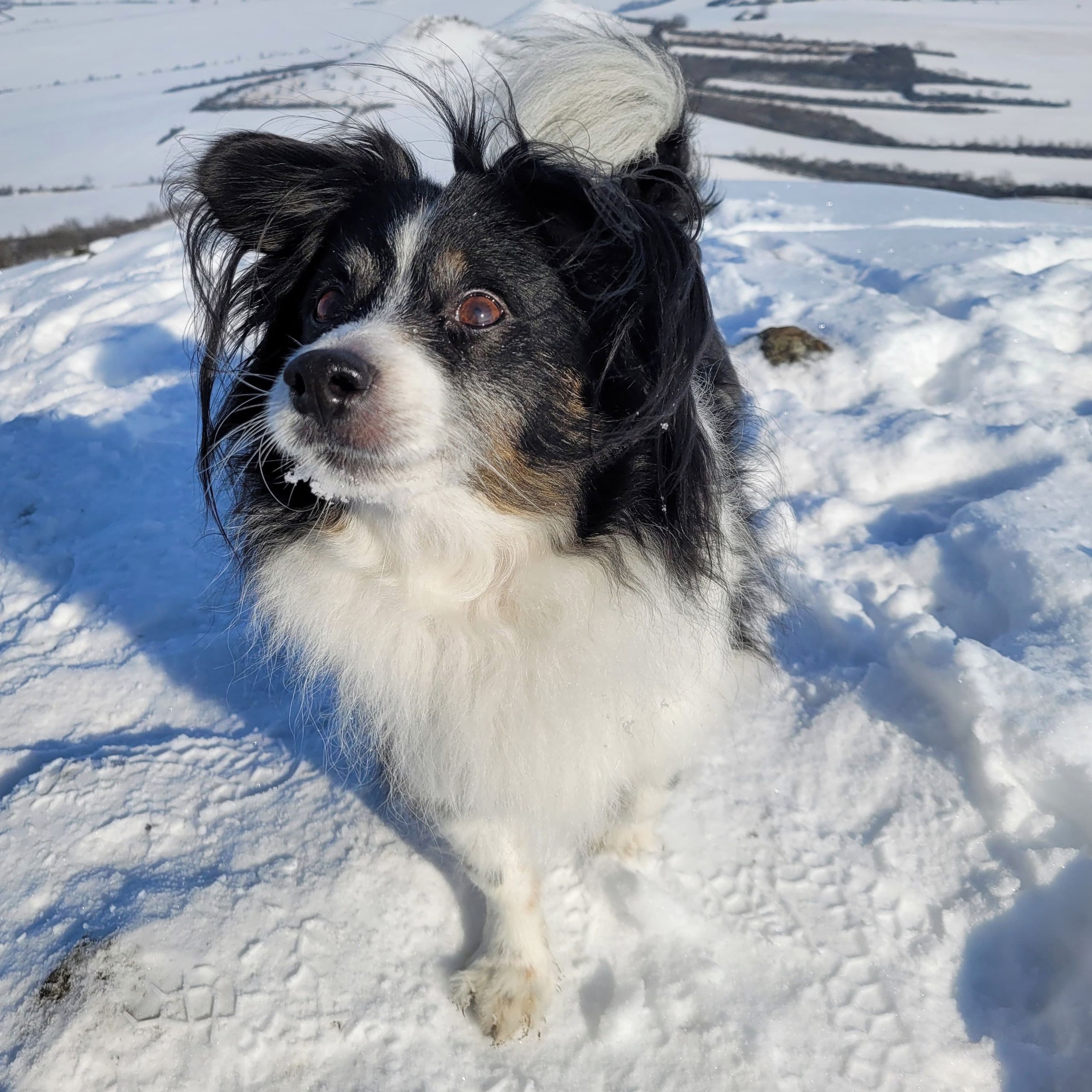 Soutěžní fotografie - Monťák,  Ostatní