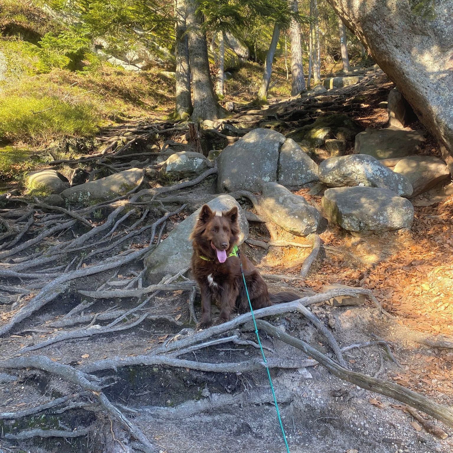 Soutěžní fotografie - Bonnie,  Ostatní