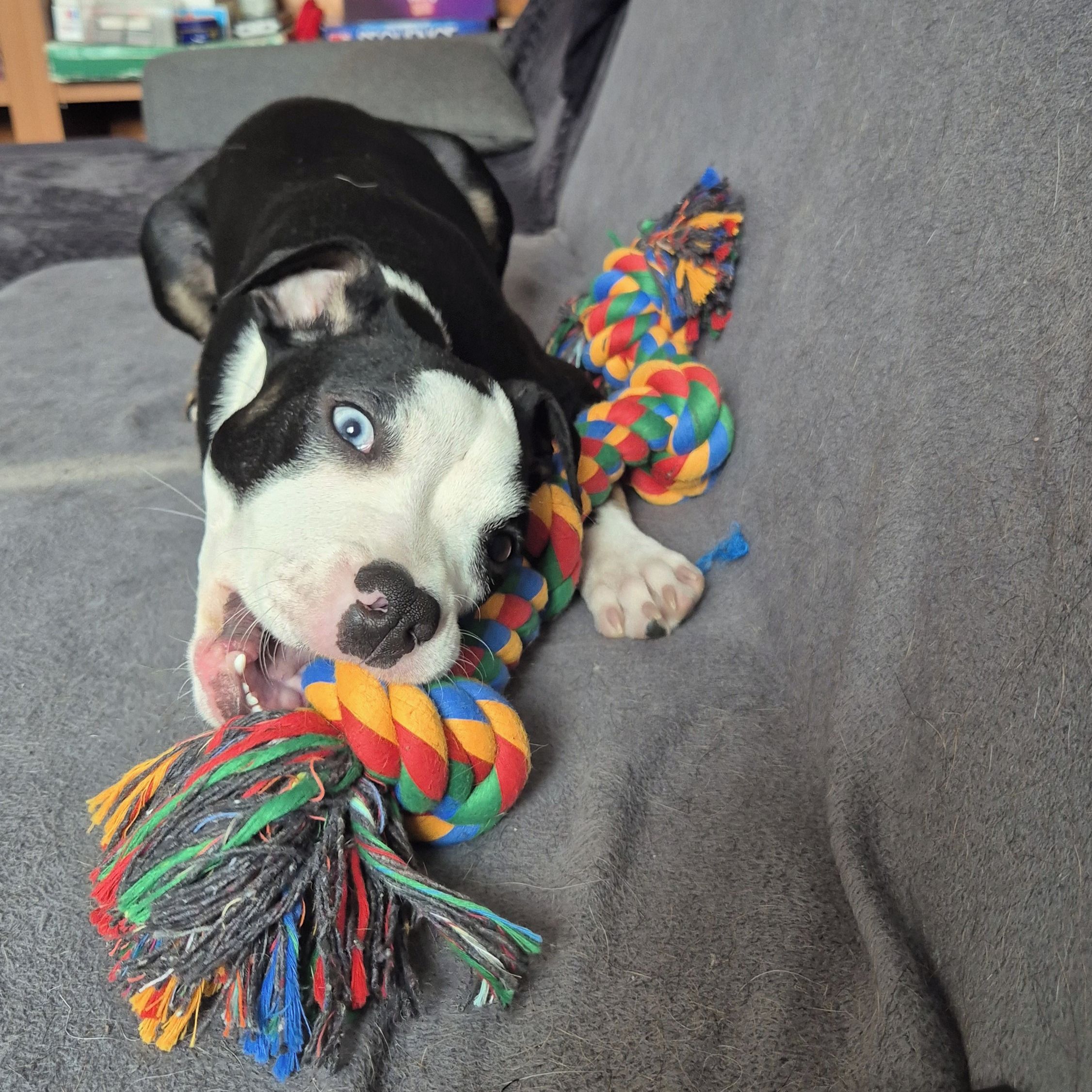 Soutěžní fotografie - Lejla,  Ostatní