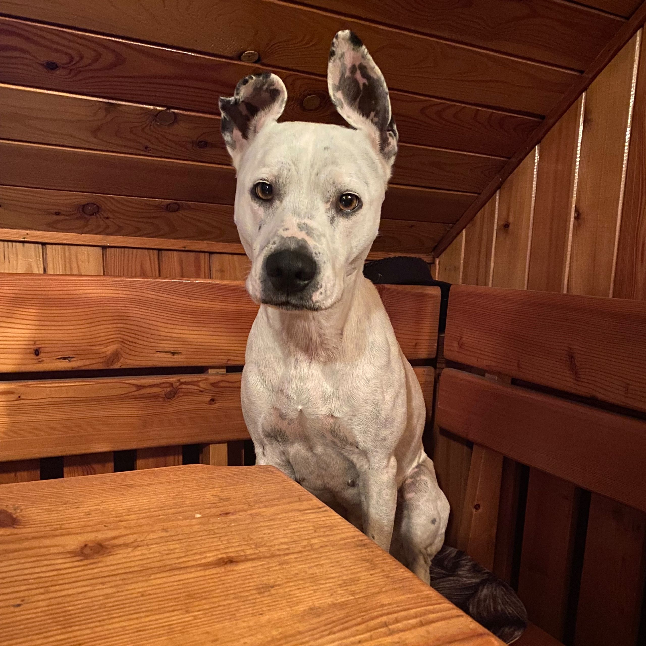 Soutěžní fotografie - Baby,  Ostatní