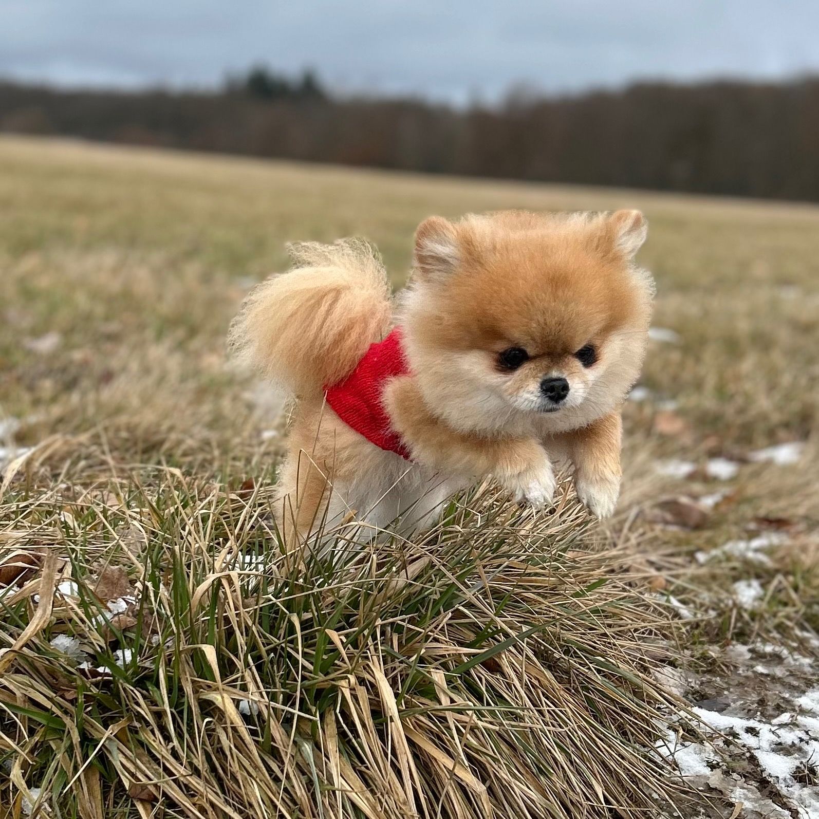 Soutěžní fotografie - Megí Suchá,  Ostatní