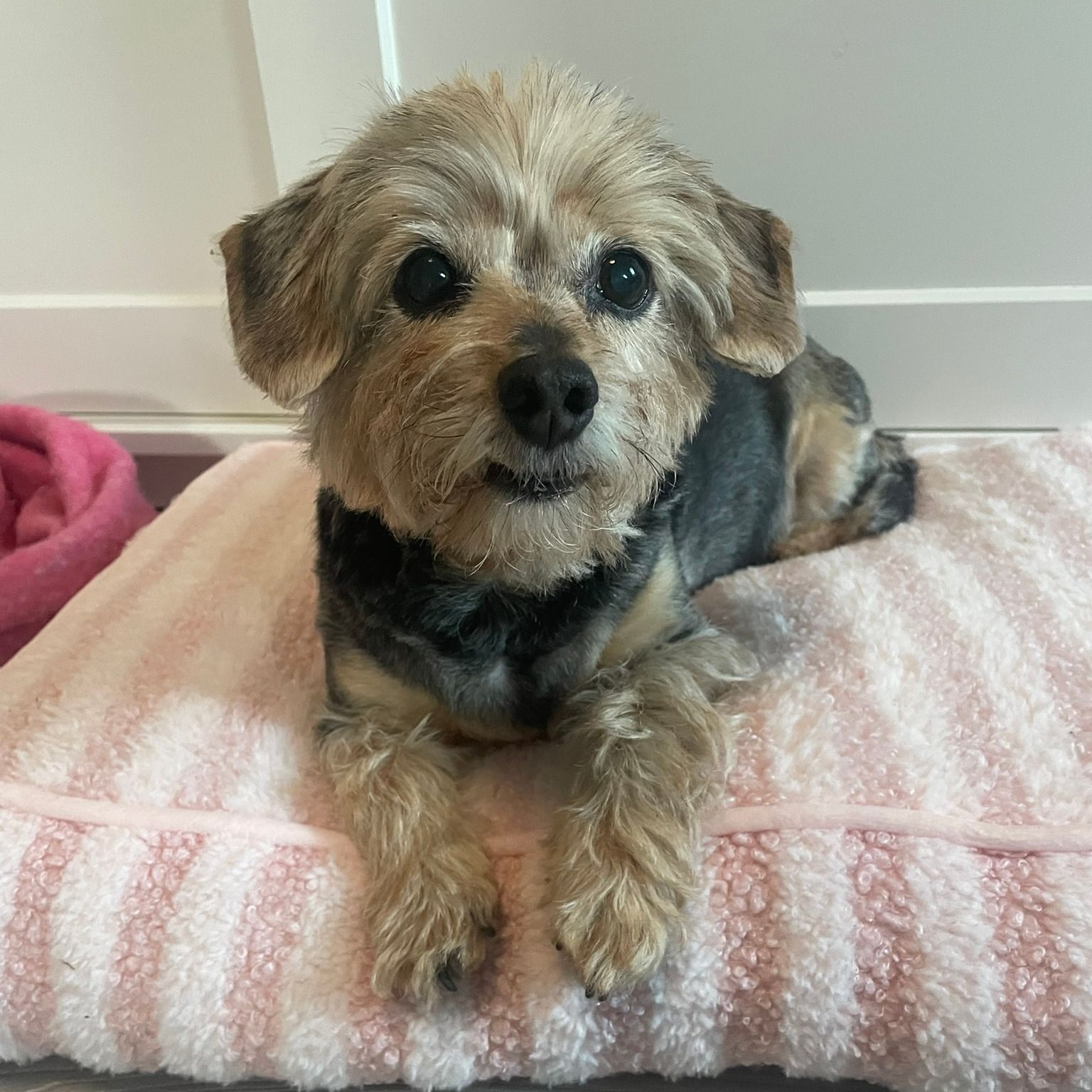 Soutěžní fotografie - Nelinka,  Ostatní