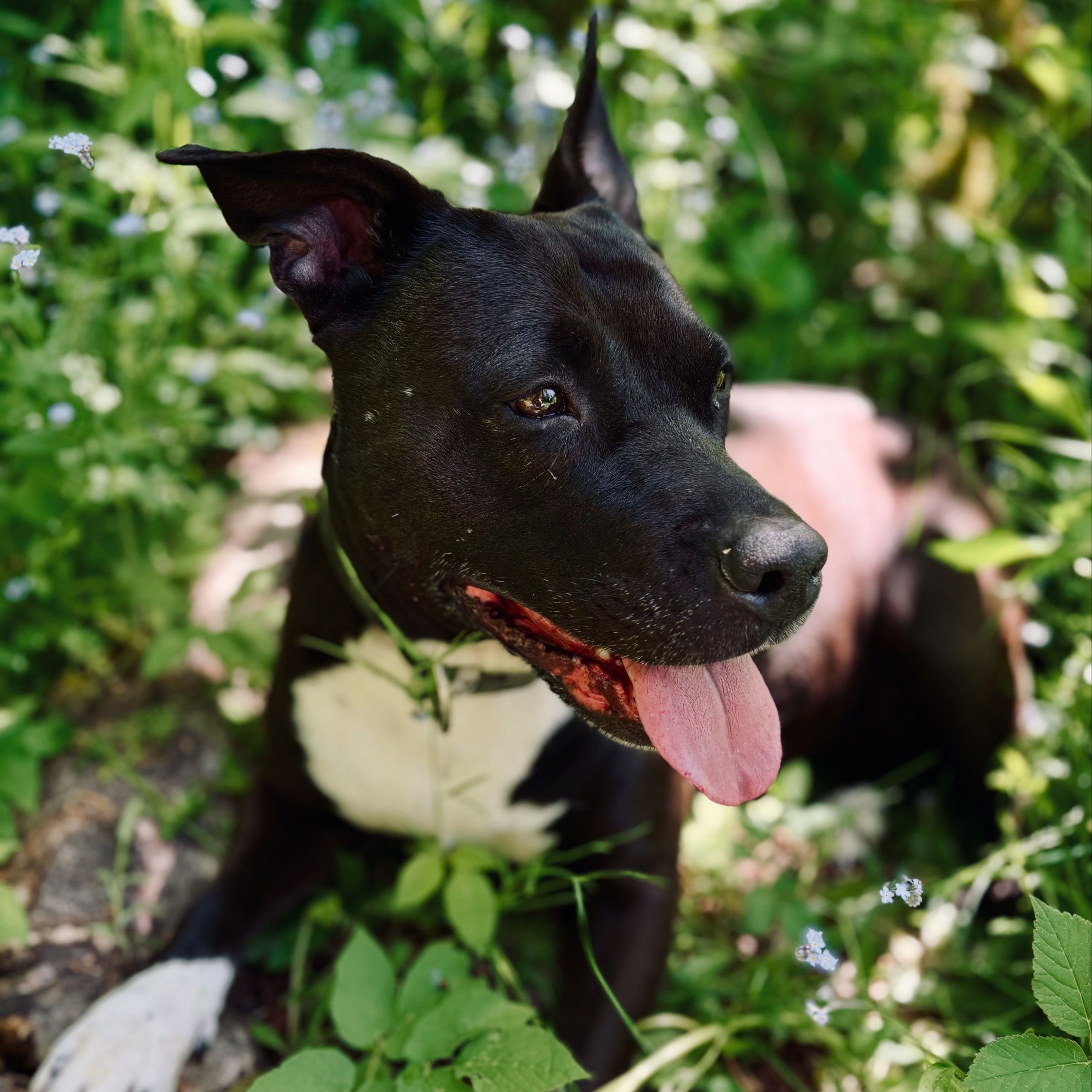 Soutěžní fotografie - Jenny,  Ostatní