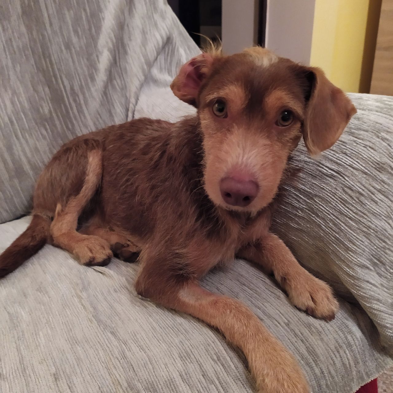 Soutěžní fotografie - Timi,  Ostatní