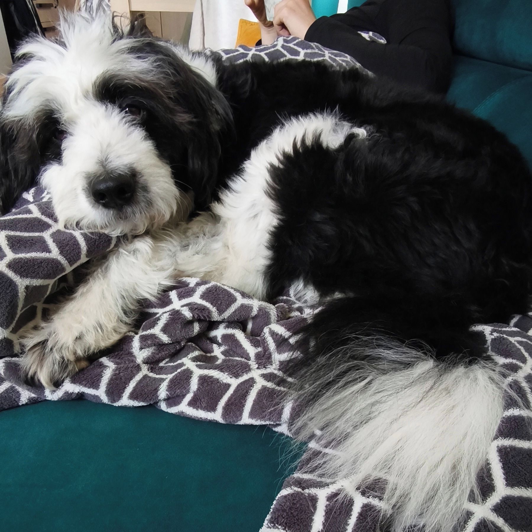 Soutěžní fotografie - Bady,  Ostatní