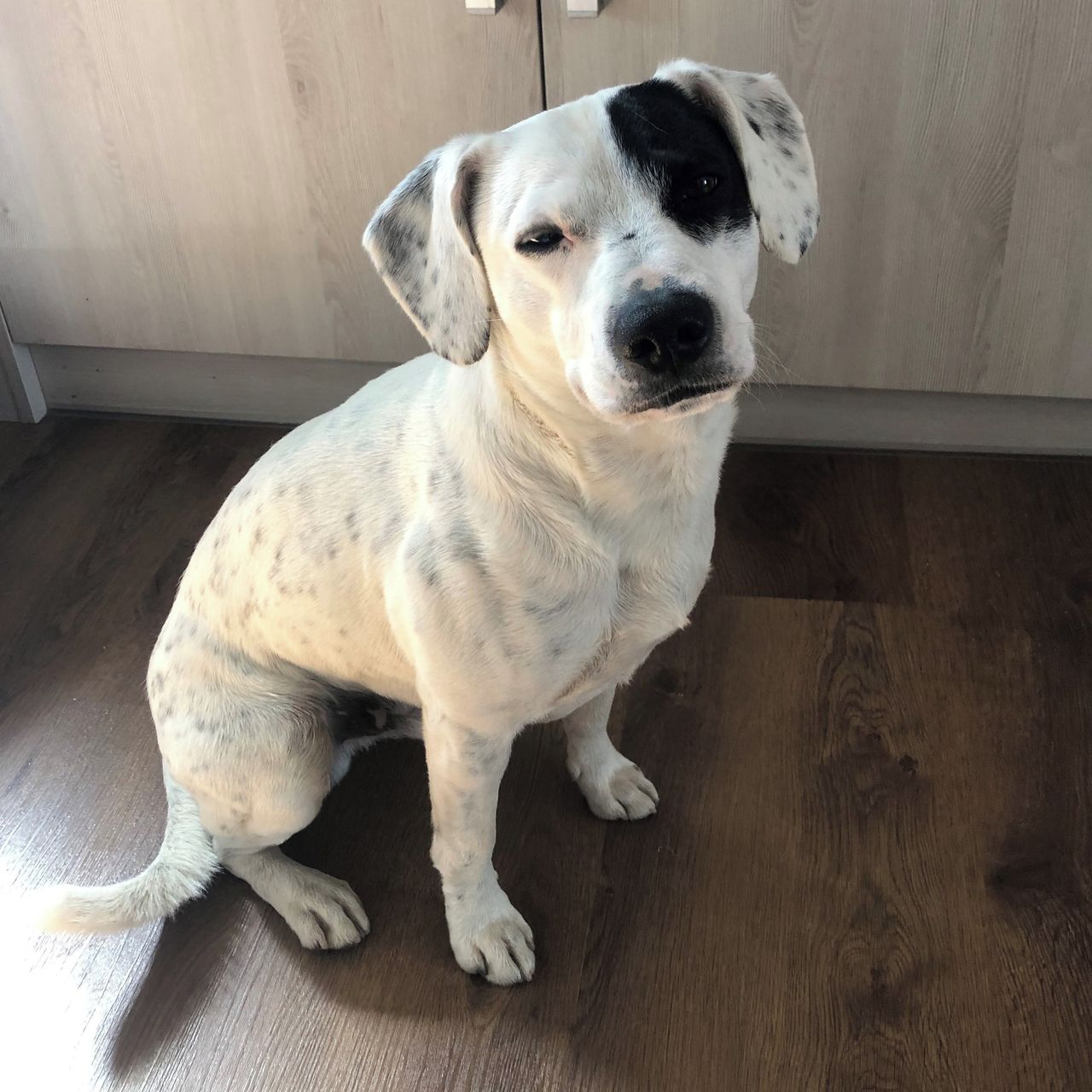 Soutěžní fotografie - Zayo,  Ostatní