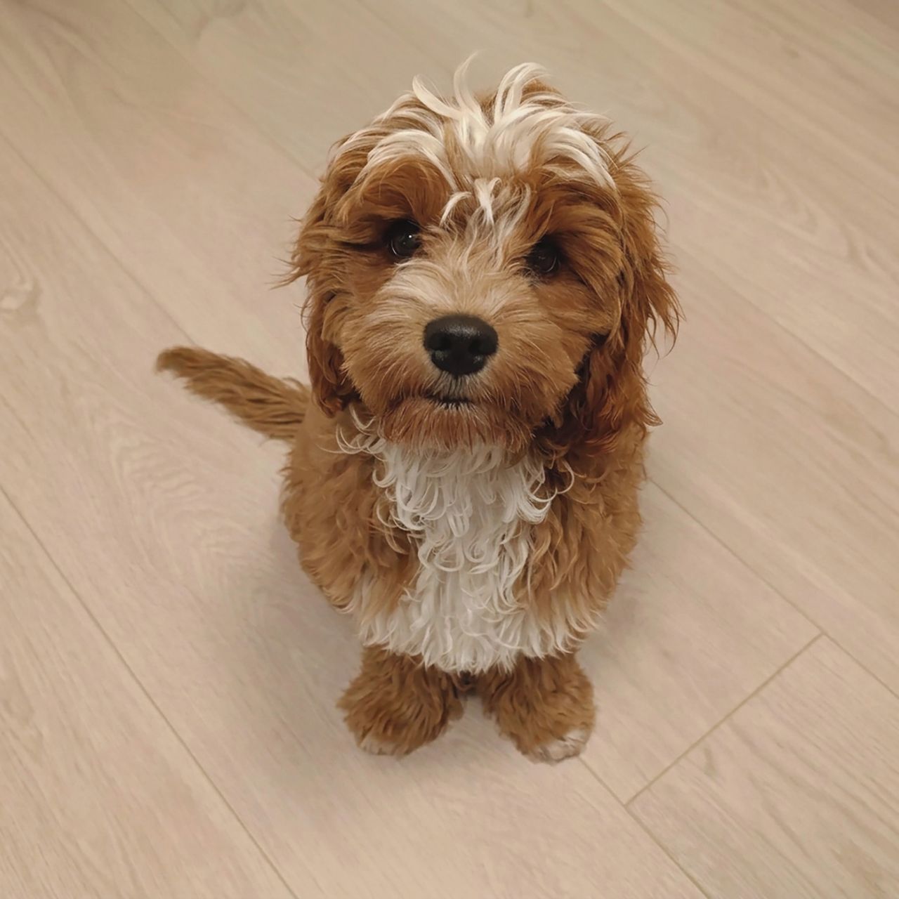 Soutěžní fotografie - Pú,  Ostatní