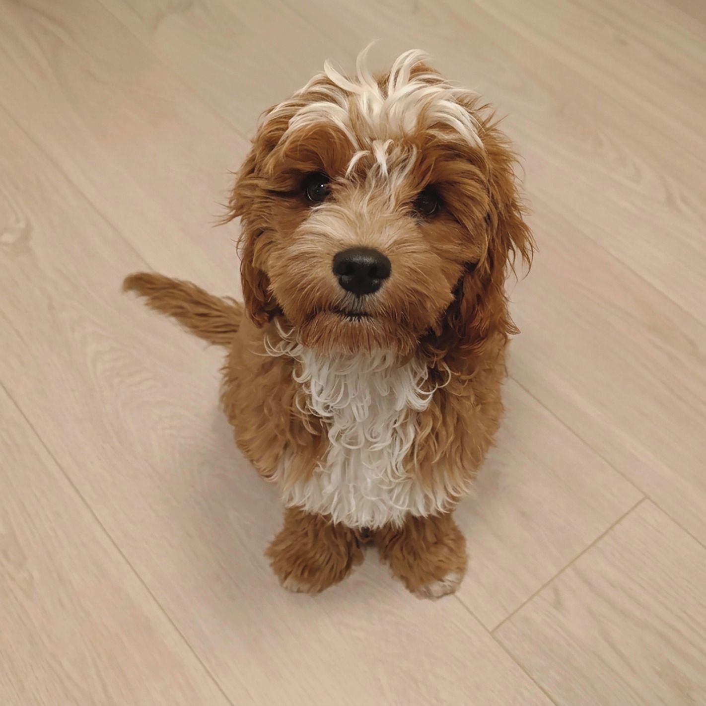 Soutěžní fotografie - Pú,  Ostatní