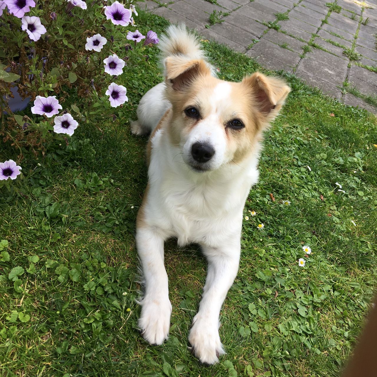 Soutěžní fotografie - Jessie,  Ostatní