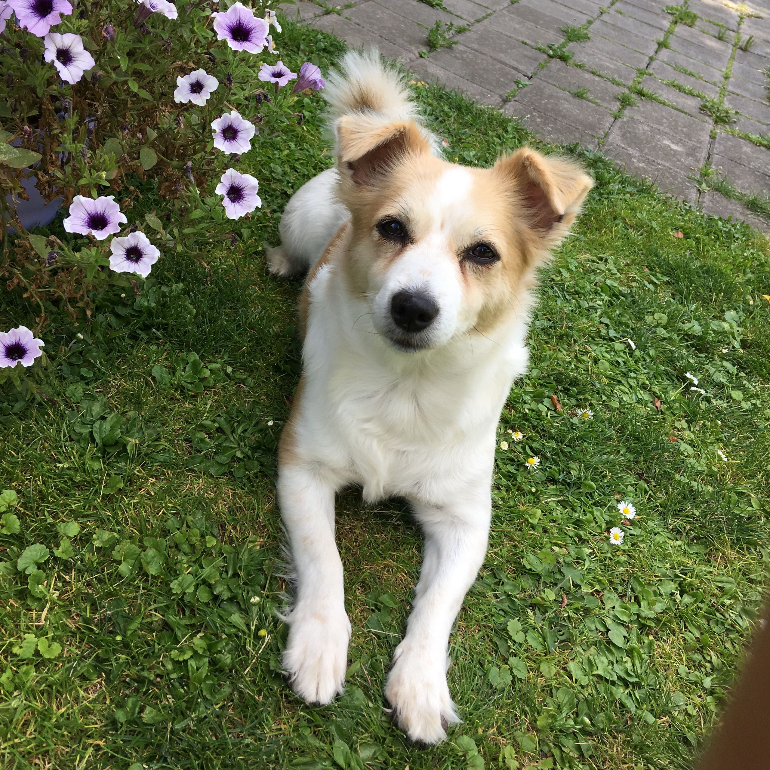 Soutěžní fotografie - Jessie,  Ostatní