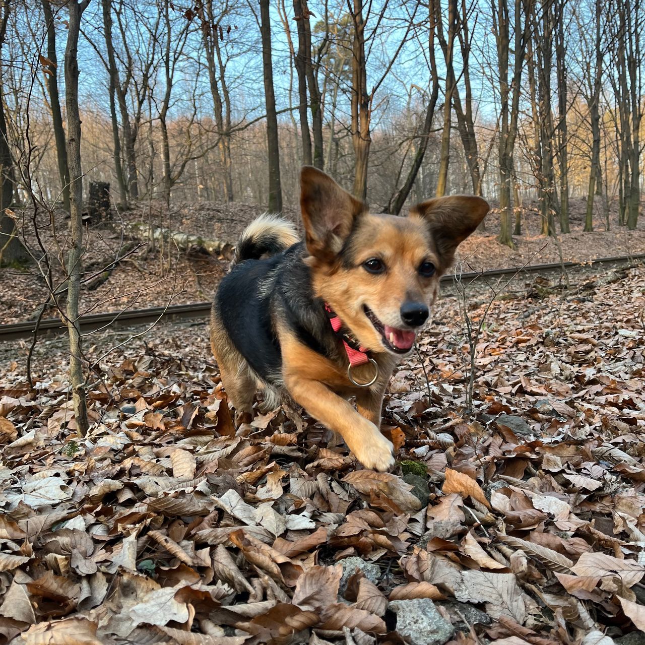 Soutěžní fotografie - Hafina,  Ostatní